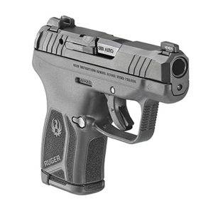 ruger lcp max